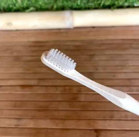 Bamboo Toothbrush