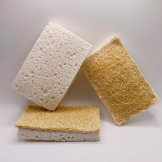 Biodegradable Sponge